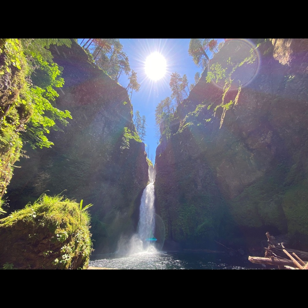 Meet your Posher, Carolina